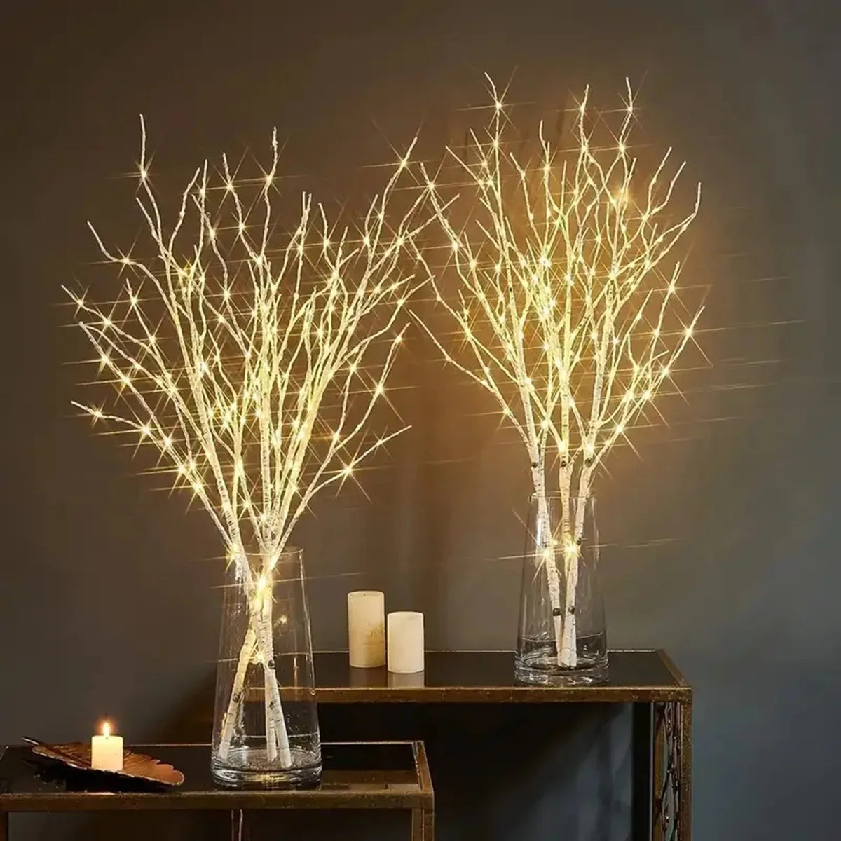 White Birch Branch LED Lights – Battery Operated, Indoor & Outdoor Decor